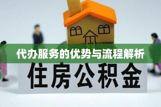 武陵源代办服务的优势与流程解析