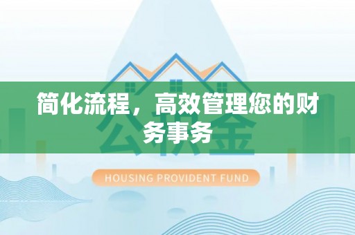 武陵源简化流程，高效管理您的财务事务