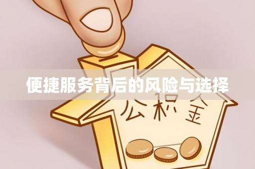 武陵源便捷服务背后的风险与选择