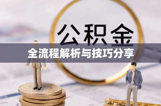 武陵源全流程解析与技巧分享