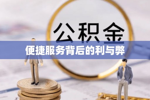 武陵源便捷服务背后的利与弊