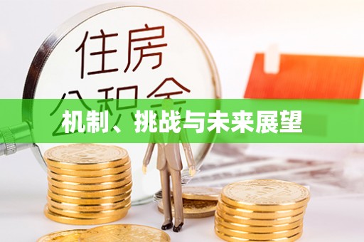 武陵源机制、挑战与未来展望